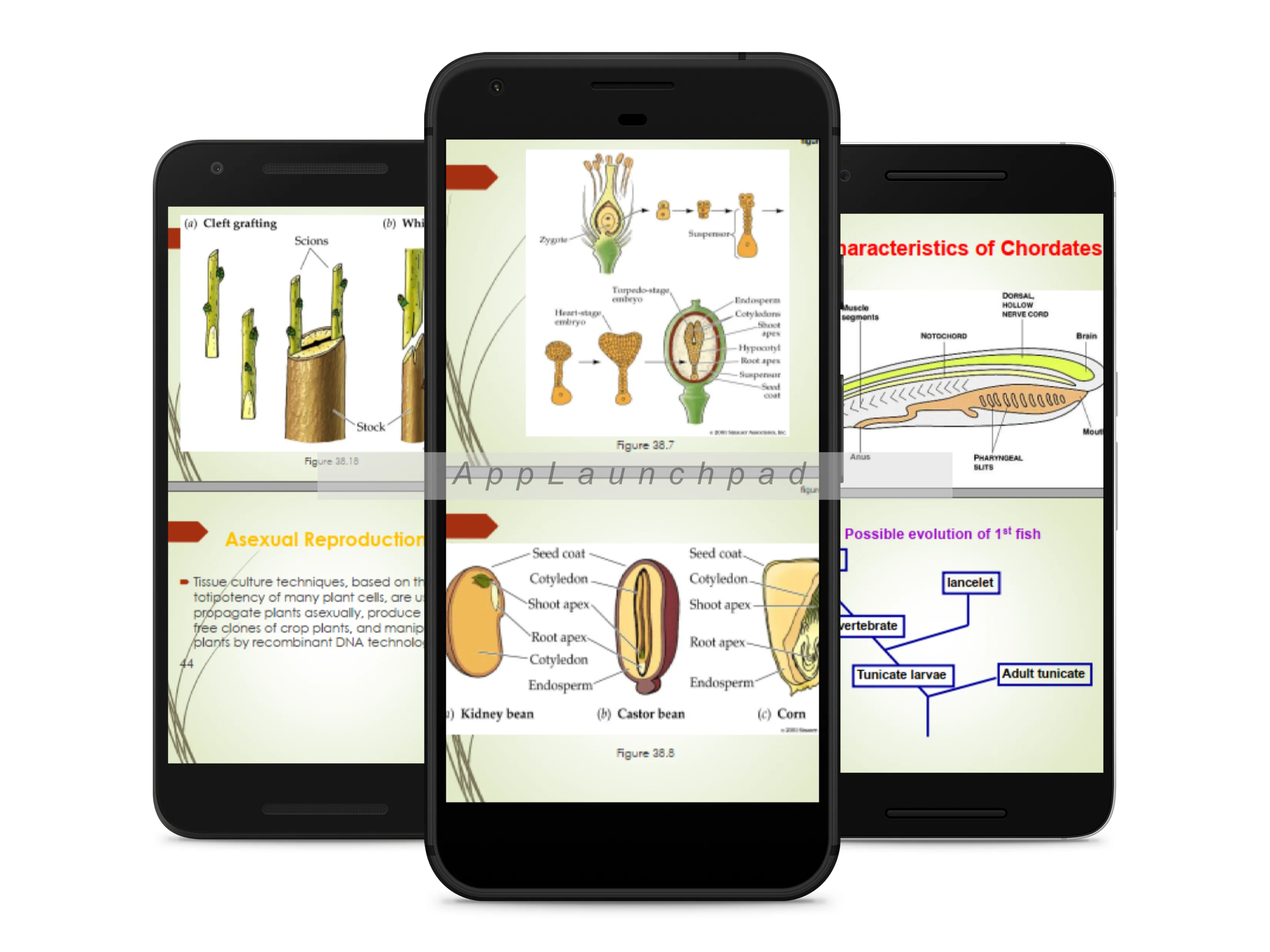 Biology Form 3 Notes +Diagrams | Indus Appstore | Screenshot