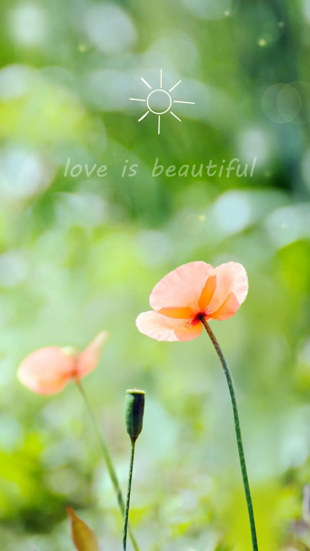 Spring Flower Live Wallpaper | Indus Appstore | Screenshot