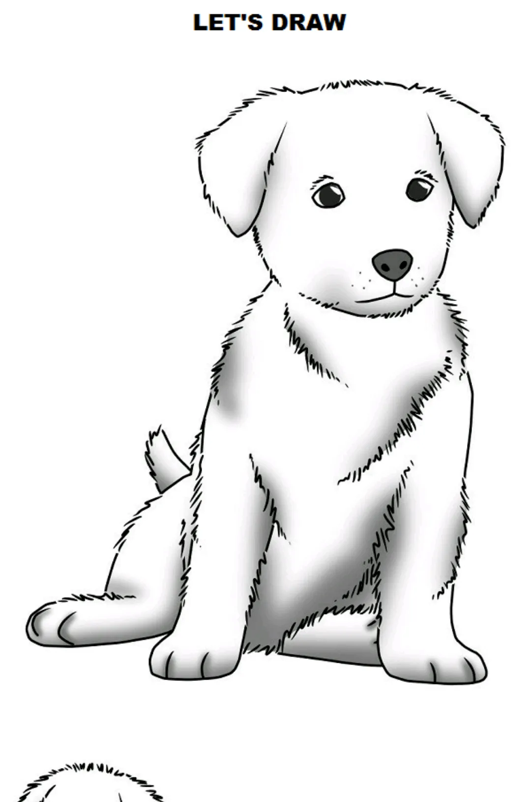 How to Draw Dogs | Indus Appstore | Screenshot