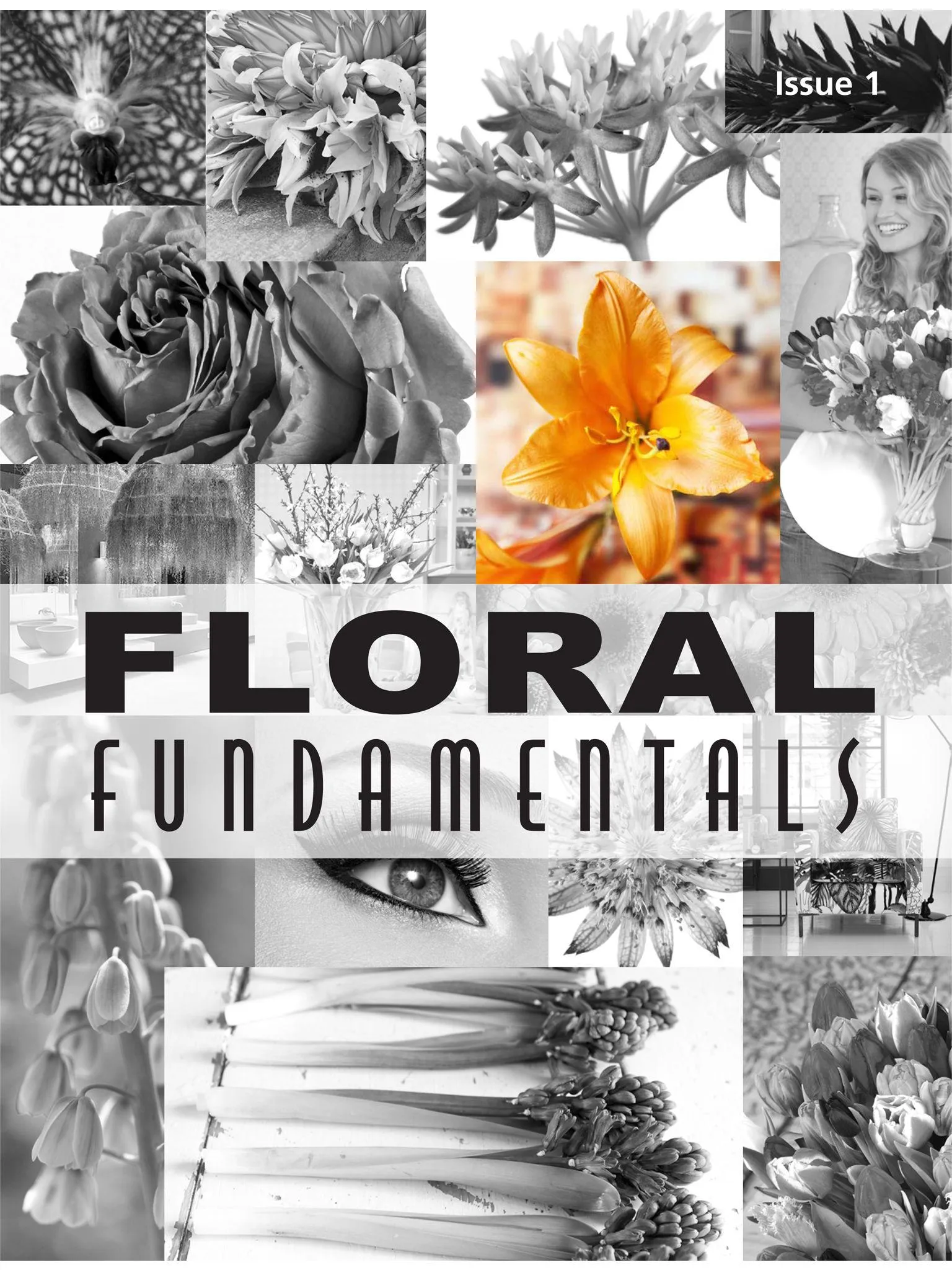 Floral Fundamentals | Indus Appstore | Screenshot