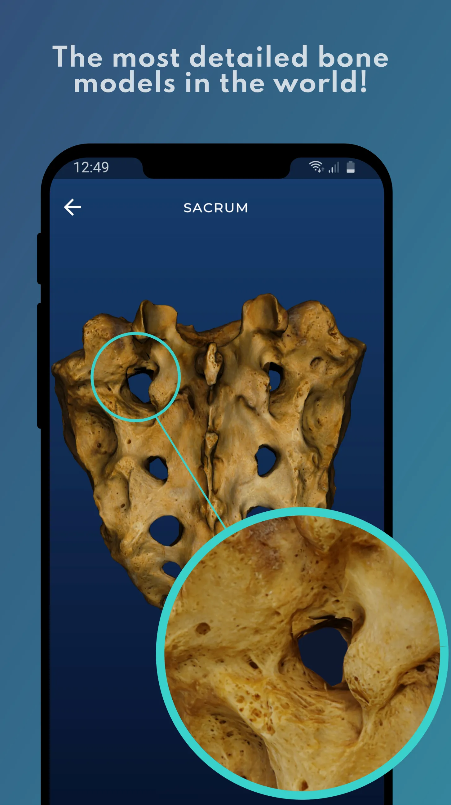 Skelviewer: 100% bone markings | Indus Appstore | Screenshot