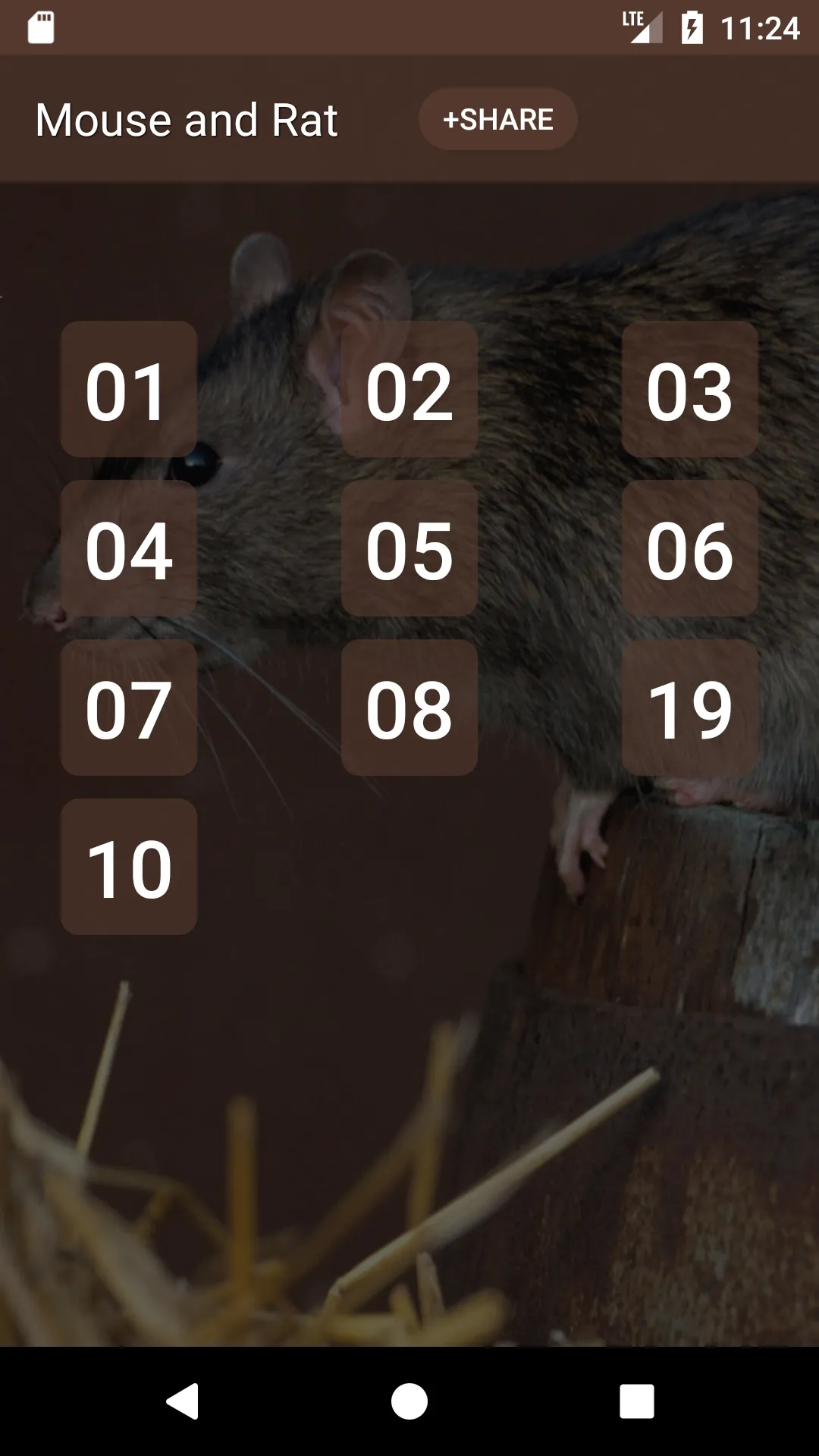 Mouse and Rat Sounds | Indus Appstore | Screenshot