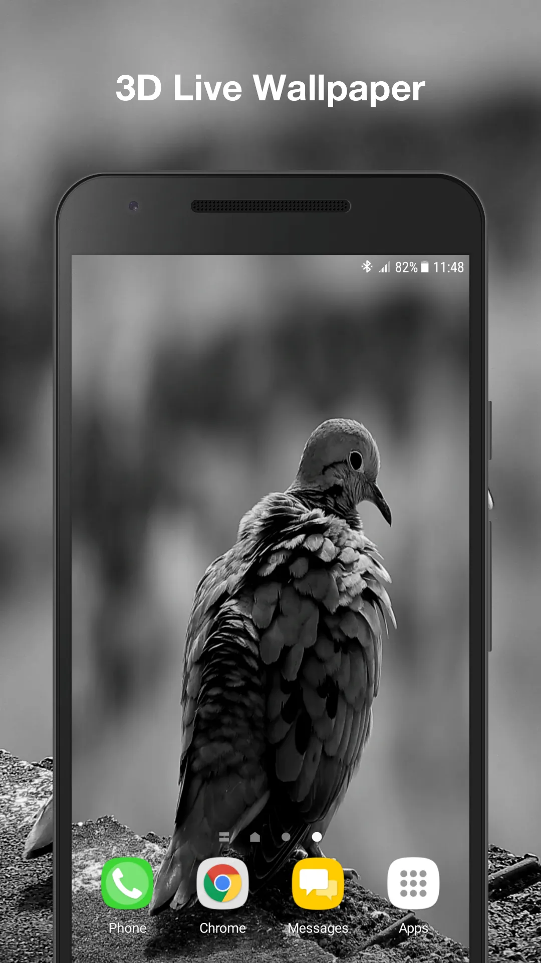 Real Bird Live Wallpaper | Indus Appstore | Screenshot