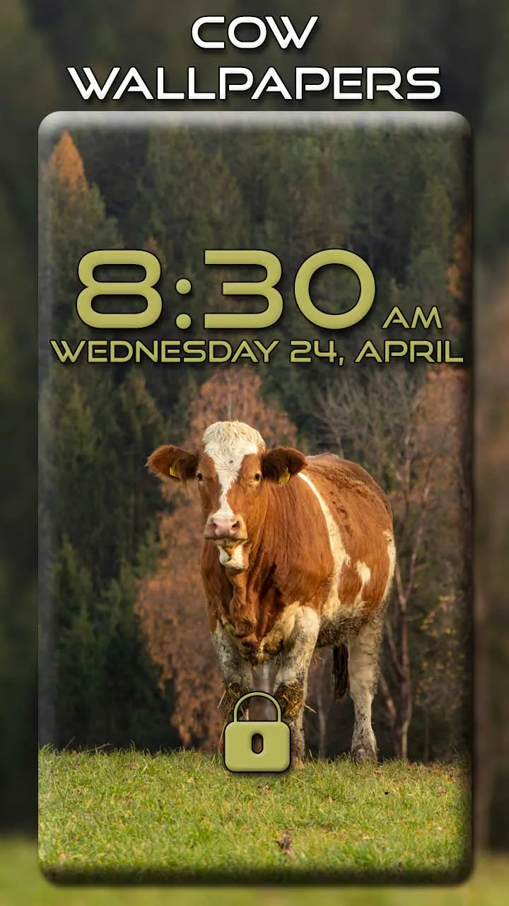 Cow Wallpapers | Indus Appstore | Screenshot