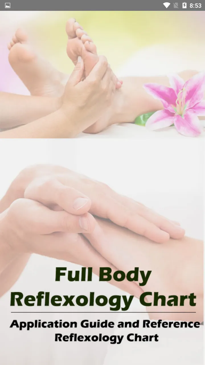 Reflexology Chart - Full Body | Indus Appstore | Screenshot