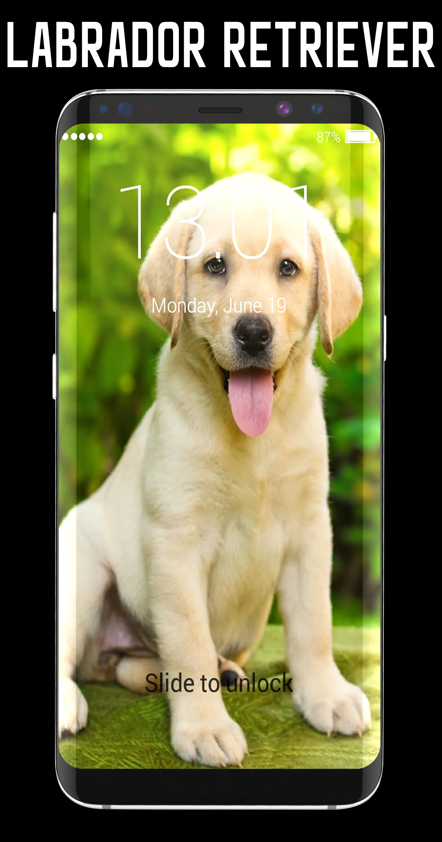 Labrador Retriever Lock Screen | Indus Appstore | Screenshot