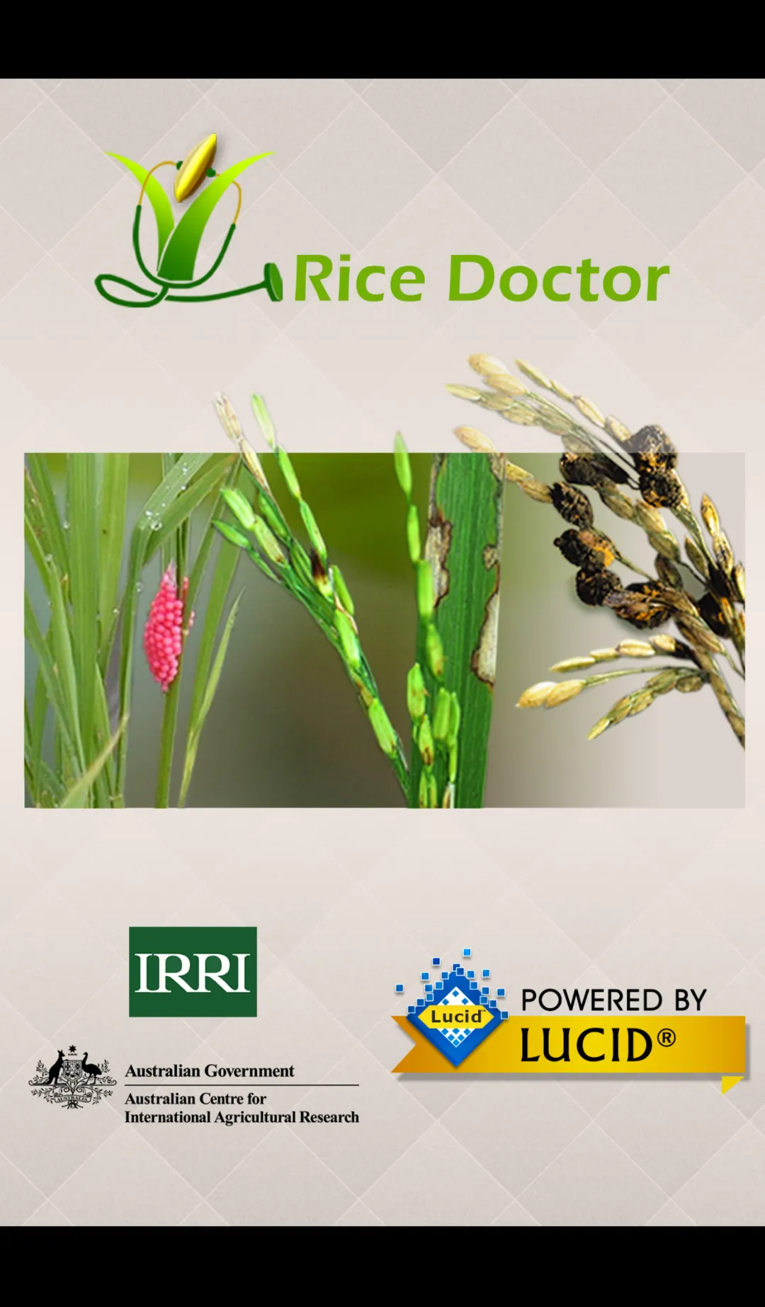 Rice Doctor Tagalog | Indus Appstore | Screenshot