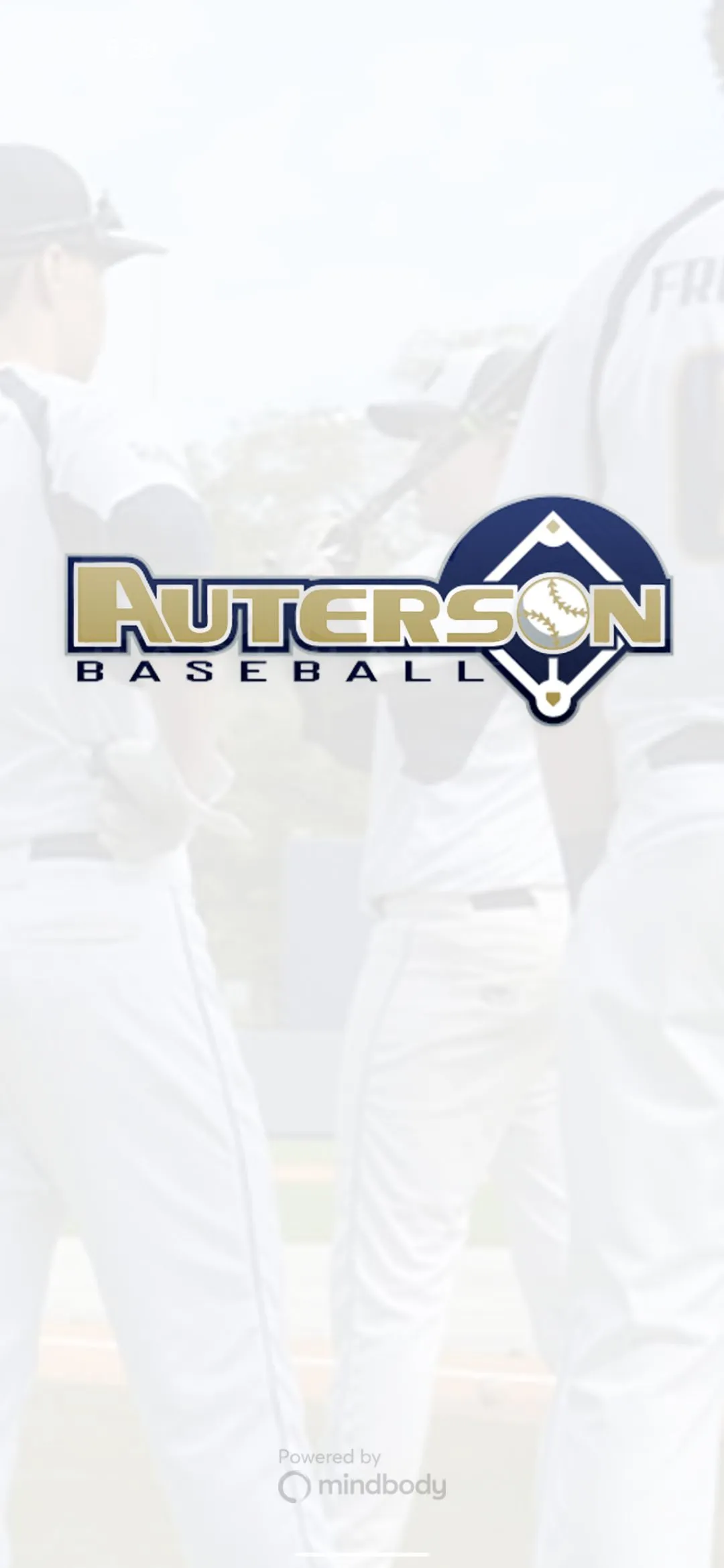 Auterson Baseball | Indus Appstore | Screenshot