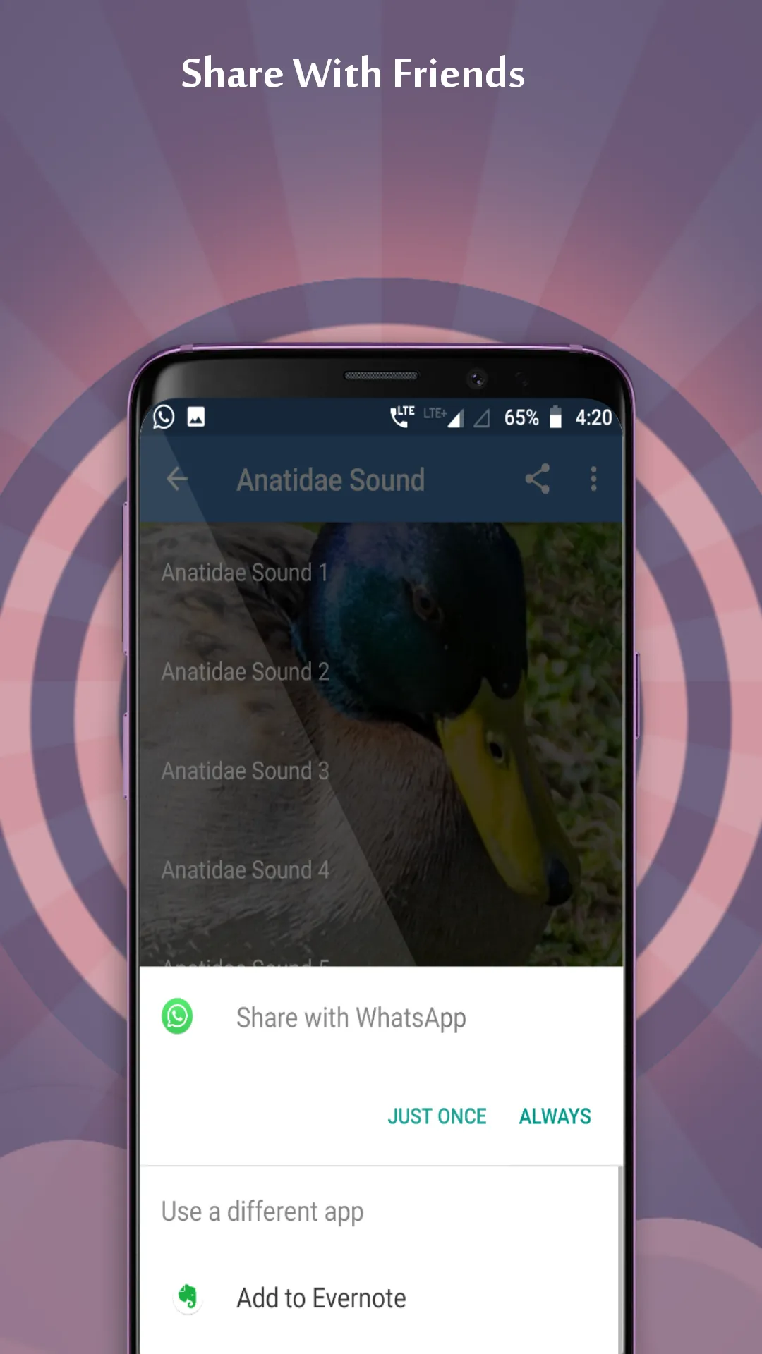 Anatidae Sounds | Indus Appstore | Screenshot