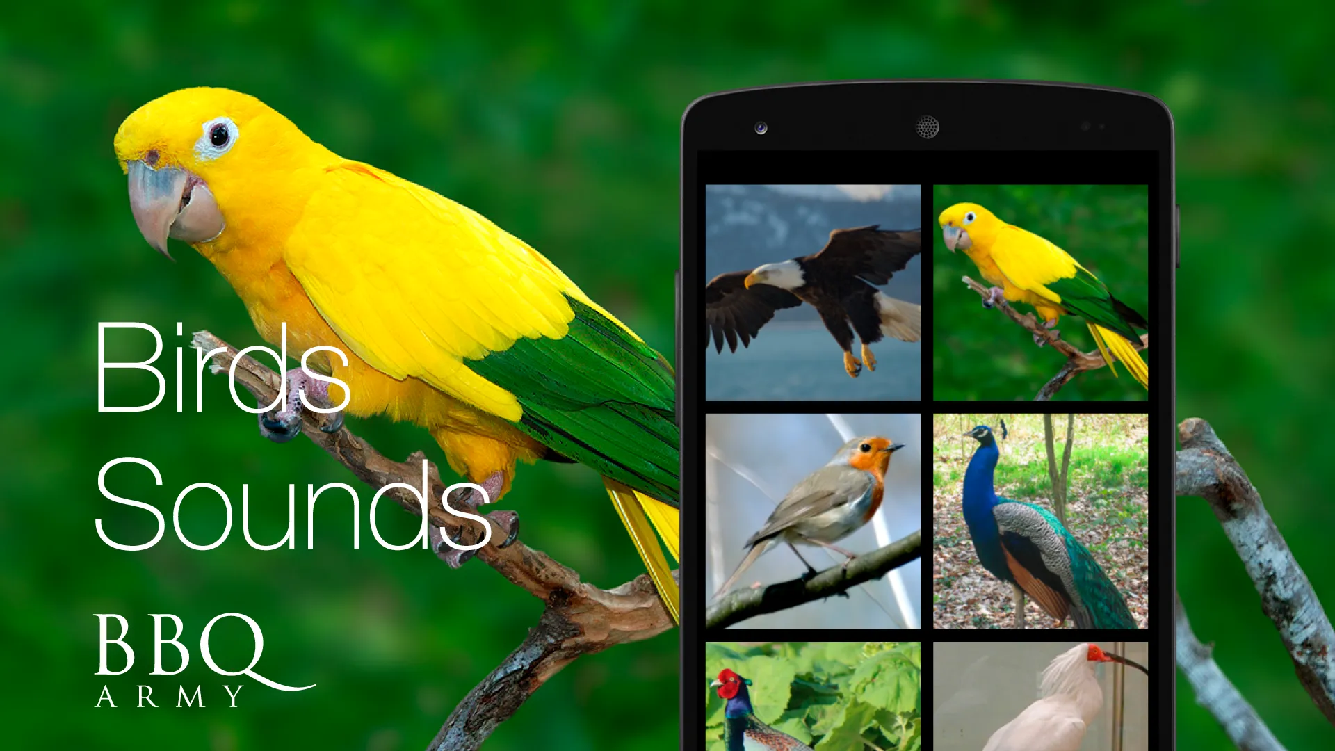 Birds Sounds for Bird | Indus Appstore | Screenshot