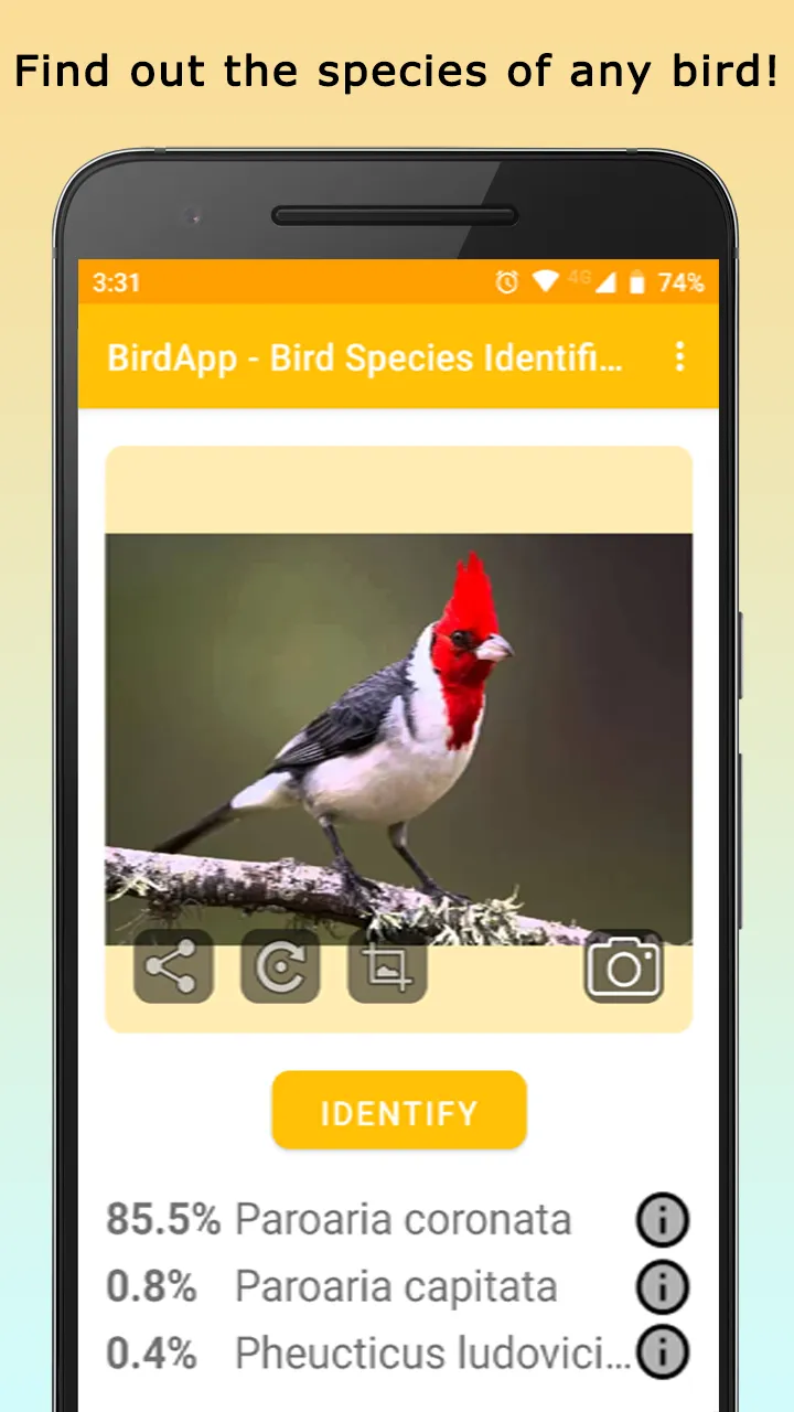 BirdsID - Identify Birds | Indus Appstore | Screenshot