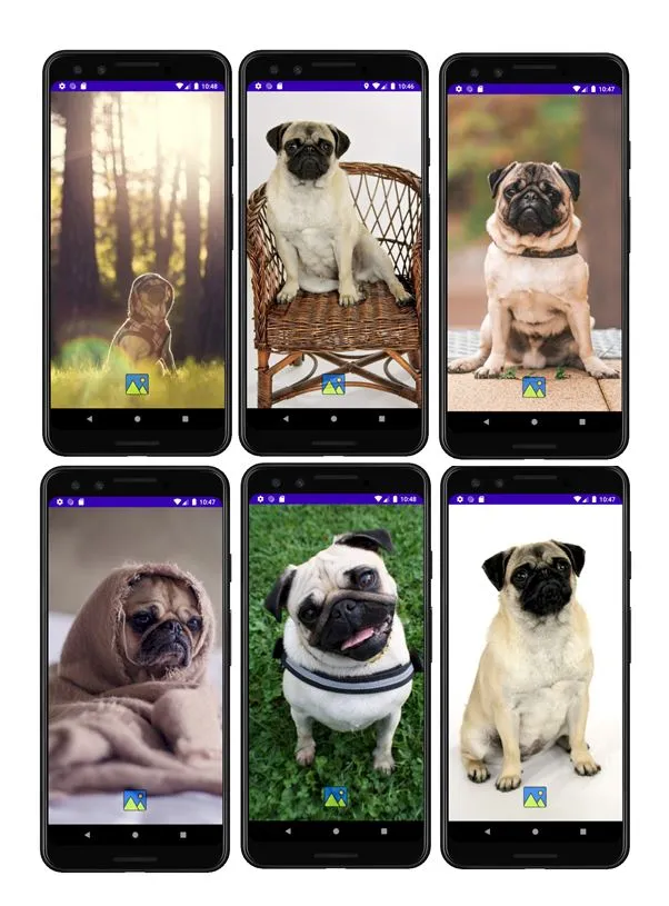 Fondos de Pantalla de Perros P | Indus Appstore | Screenshot