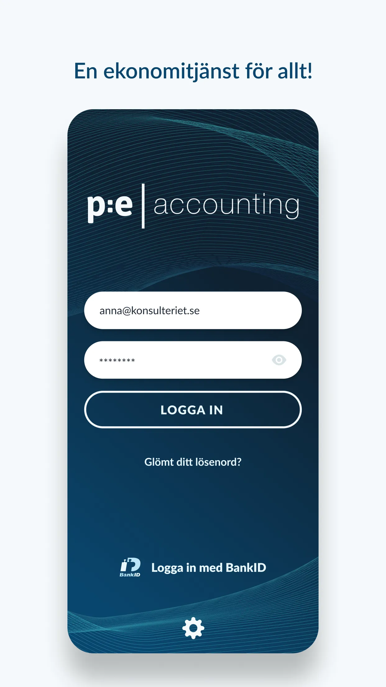 PE Accounting | Indus Appstore | Screenshot