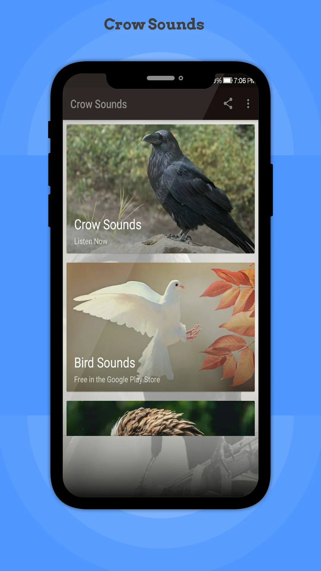 Crow Sounds | Indus Appstore | Screenshot