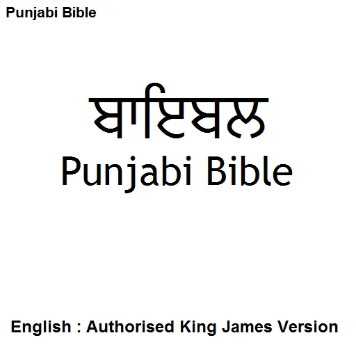 ਜਾਬੀ ਨਵੇਂ ਨੇਮ Punjabi NT / Eng | Indus Appstore | Screenshot