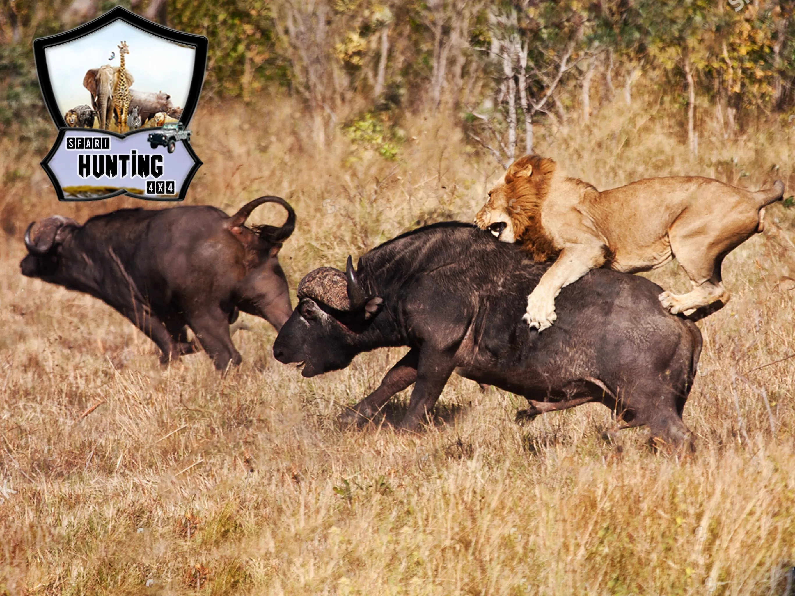 Animals Hunting 4x4 Safari 3D | Indus Appstore | Screenshot