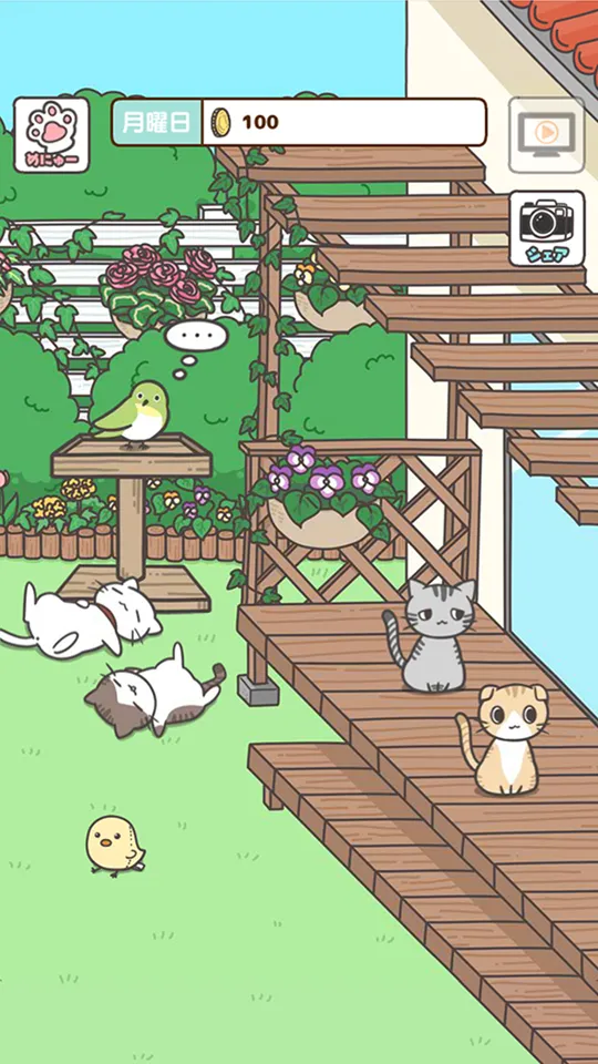 飼い猫ぐらし -かわいい動物育成ゲーム | Indus Appstore | Screenshot