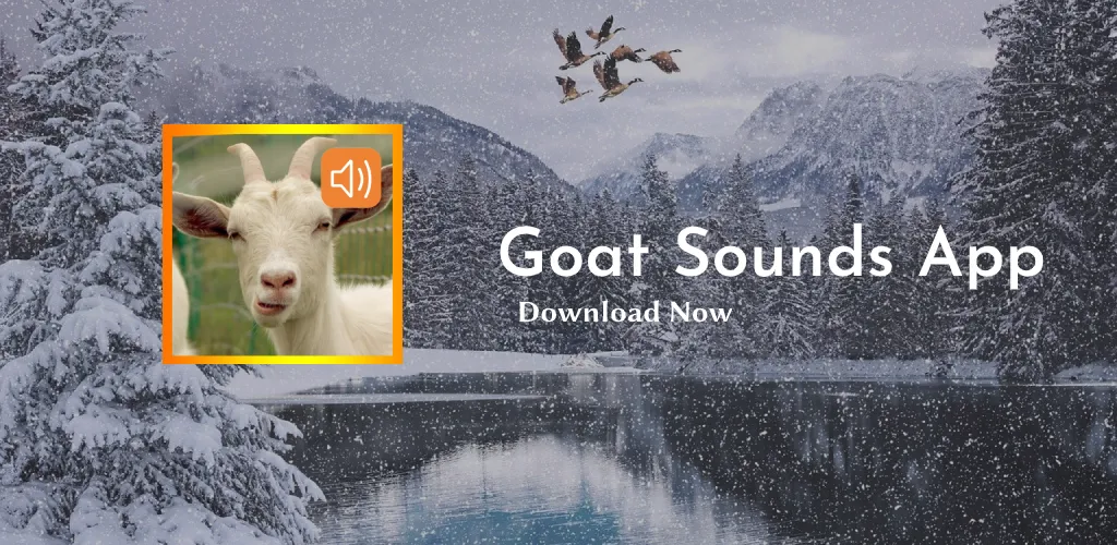 Goat Sounds App | Indus Appstore | Screenshot