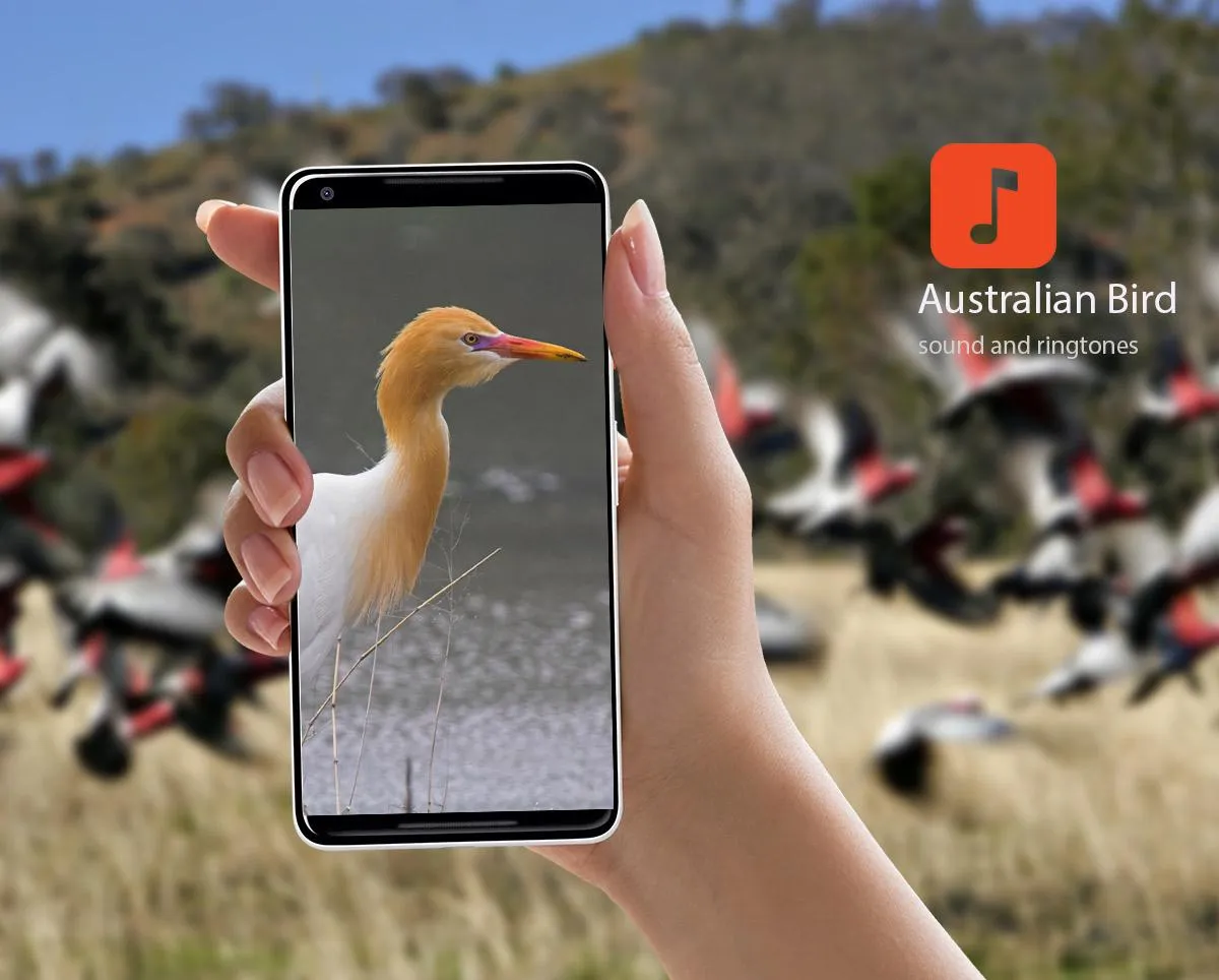 Australian Bird Sounds | Indus Appstore | Screenshot