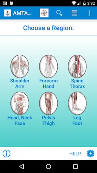 AMTA Anatomy | Indus Appstore | Screenshot