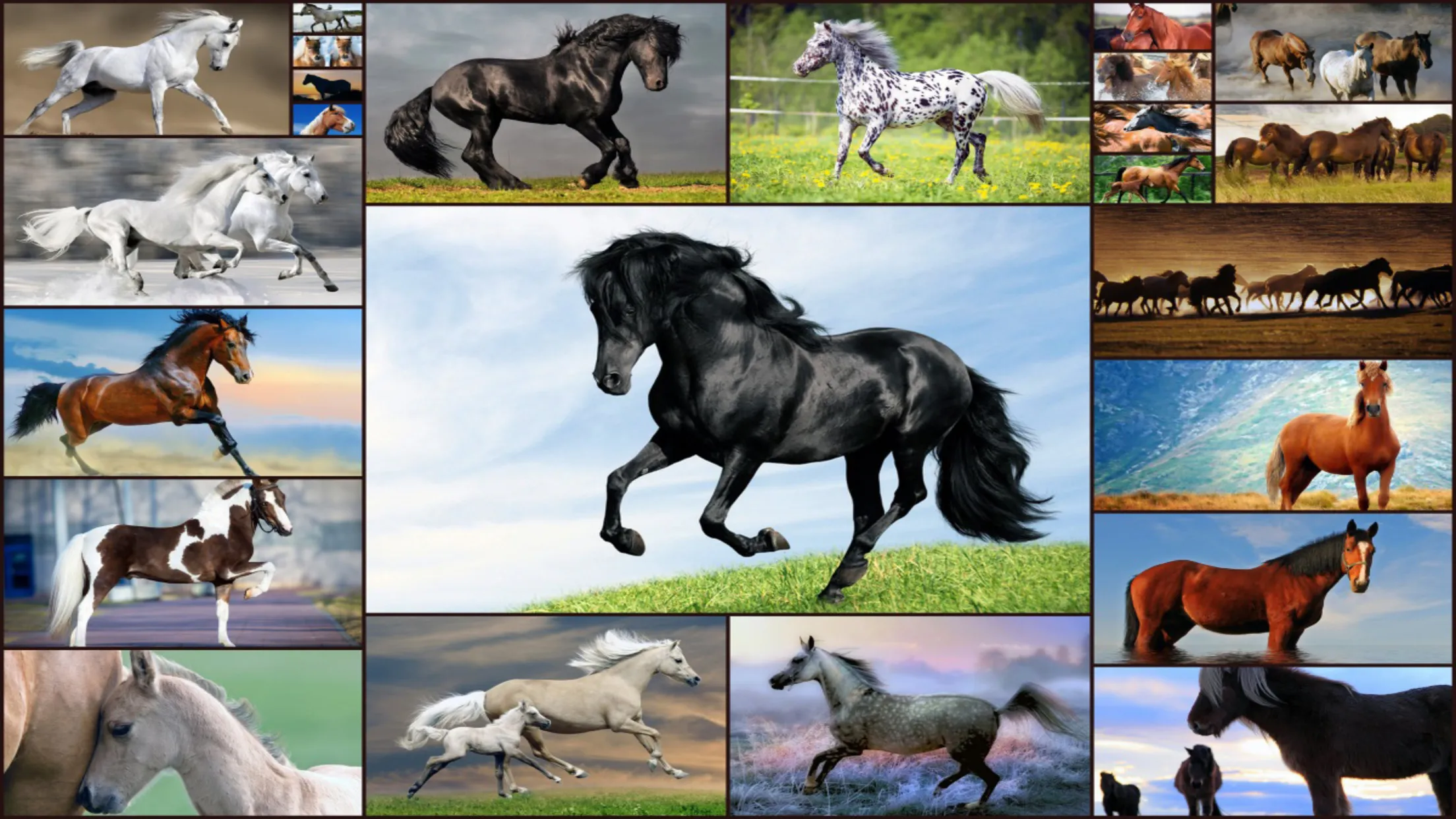 Horse Jigsaw Puzzles Game Kids | Indus Appstore | Screenshot