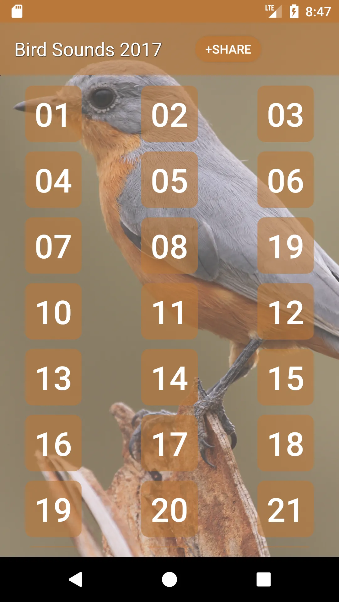 Bird Sounds and Ringtones | Indus Appstore | Screenshot