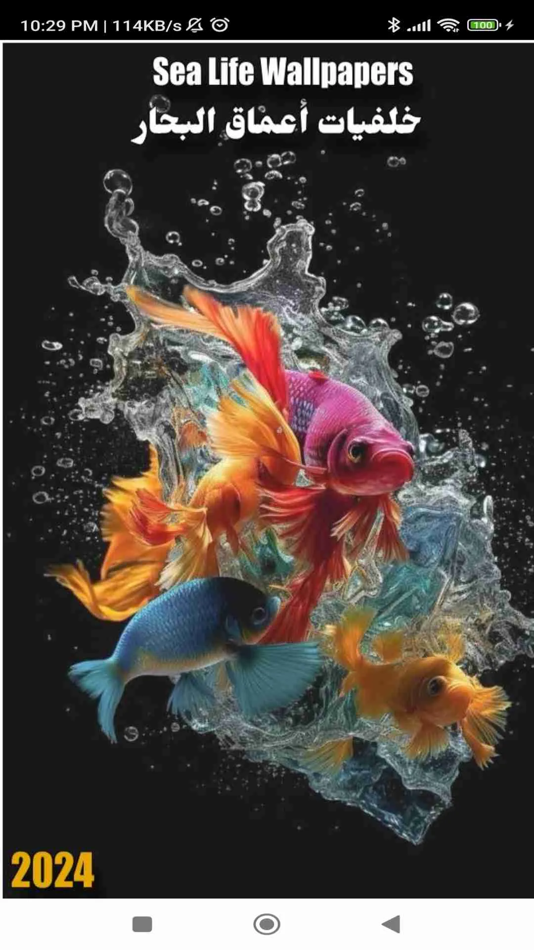 Sea Life Wallpapers | Indus Appstore | Screenshot