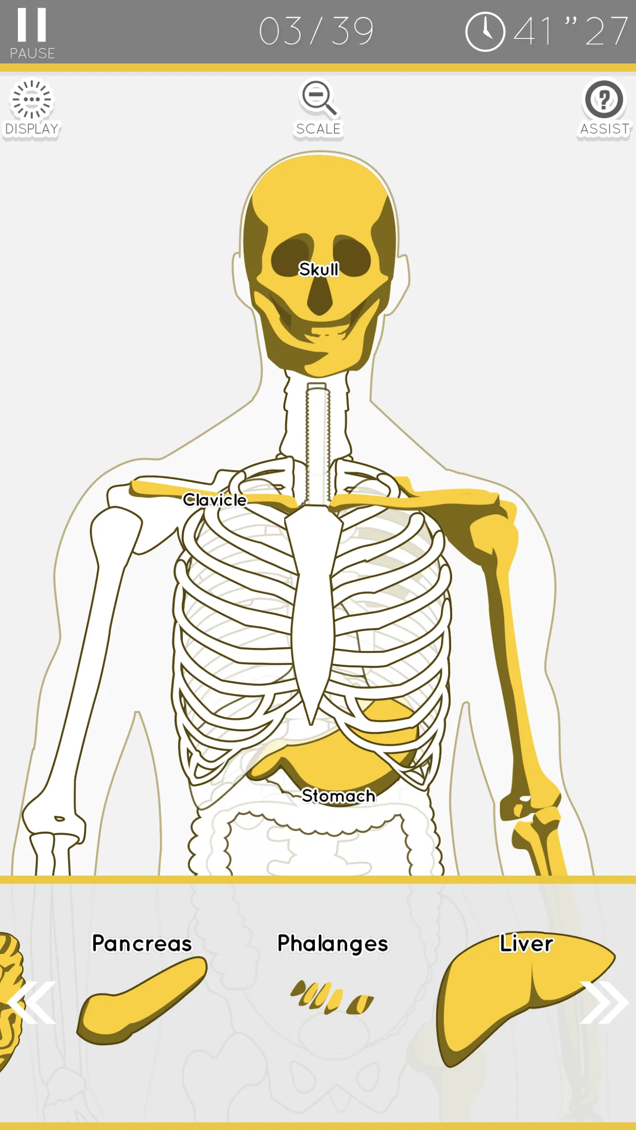 E. Learning Anatomy puzzle | Indus Appstore | Screenshot