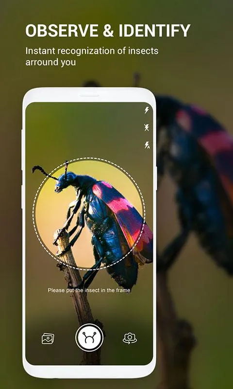 Insect identifier by Photo Cam | Indus Appstore | Screenshot