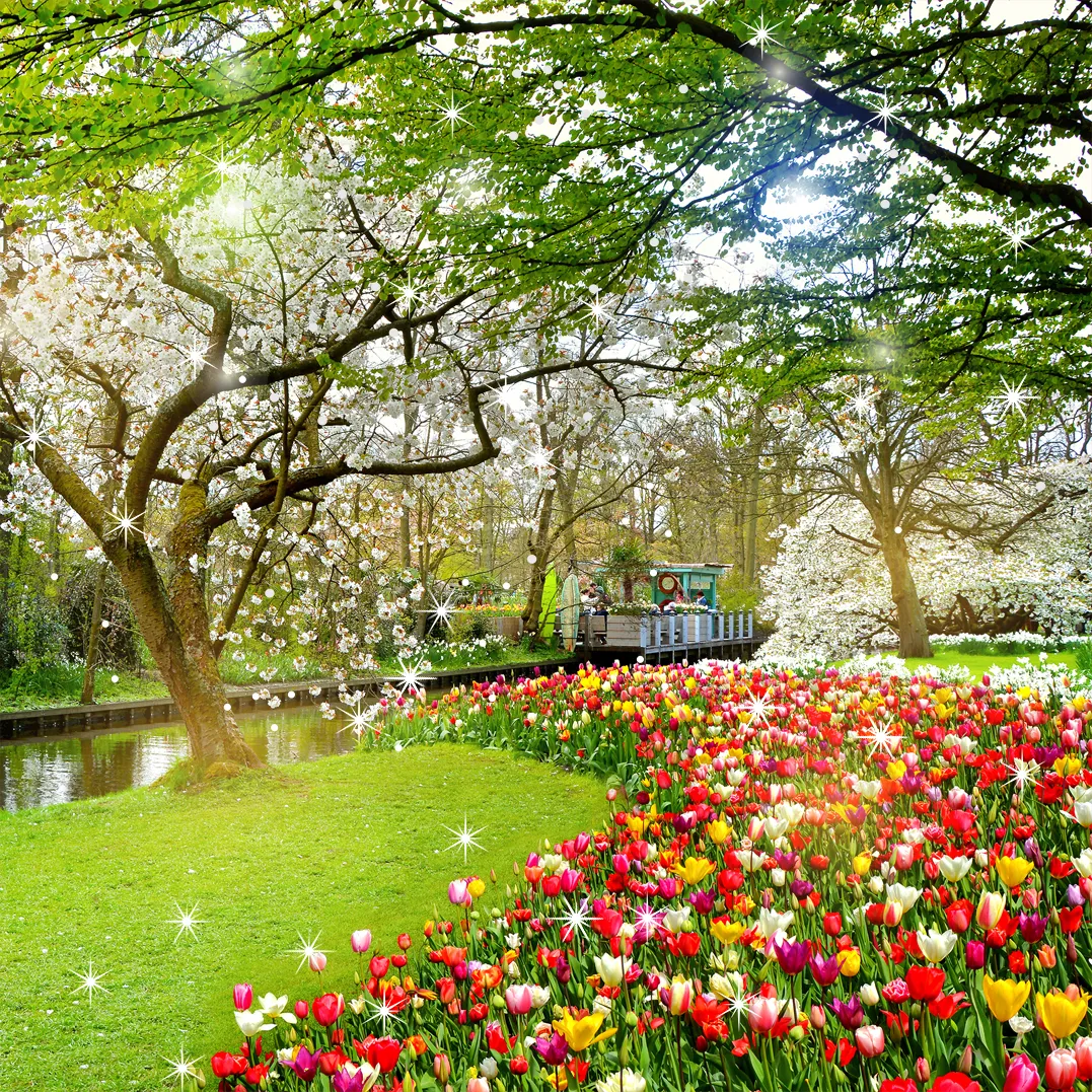 Beautiful Garden Wallpaper | Indus Appstore | Screenshot