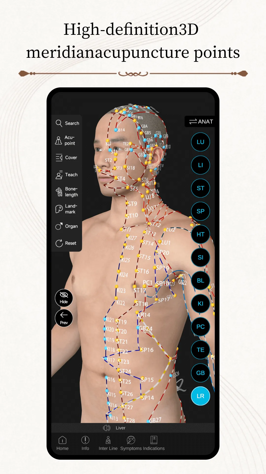 Acupuncture Master | Indus Appstore | Screenshot