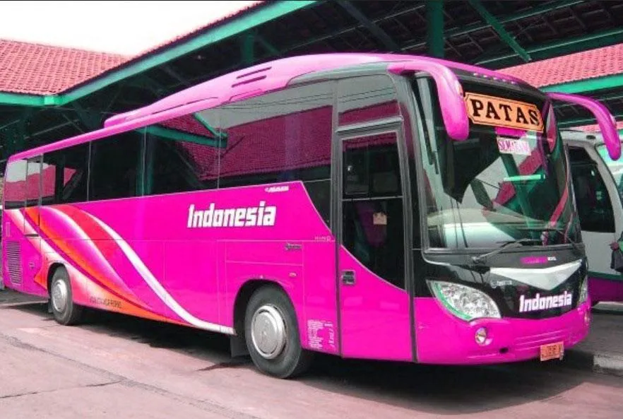 Bus Patas Wallpaper | Indus Appstore | Screenshot