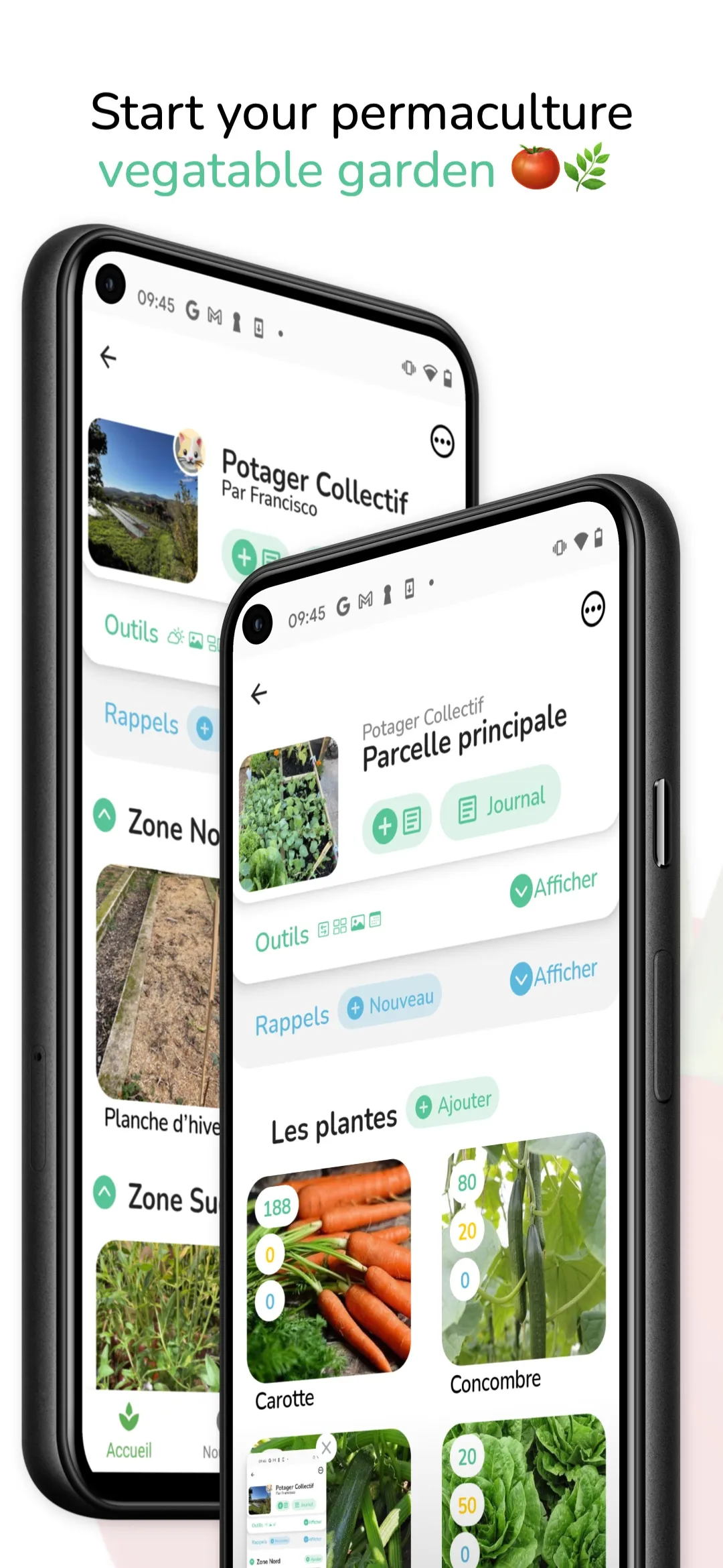 Tomate & Basilic - Gardening | Indus Appstore | Screenshot