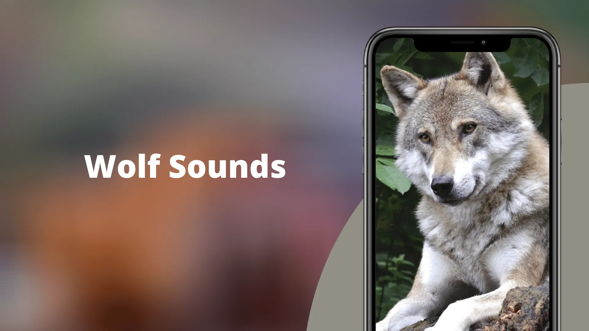 Wolf Sounds | Indus Appstore | Screenshot