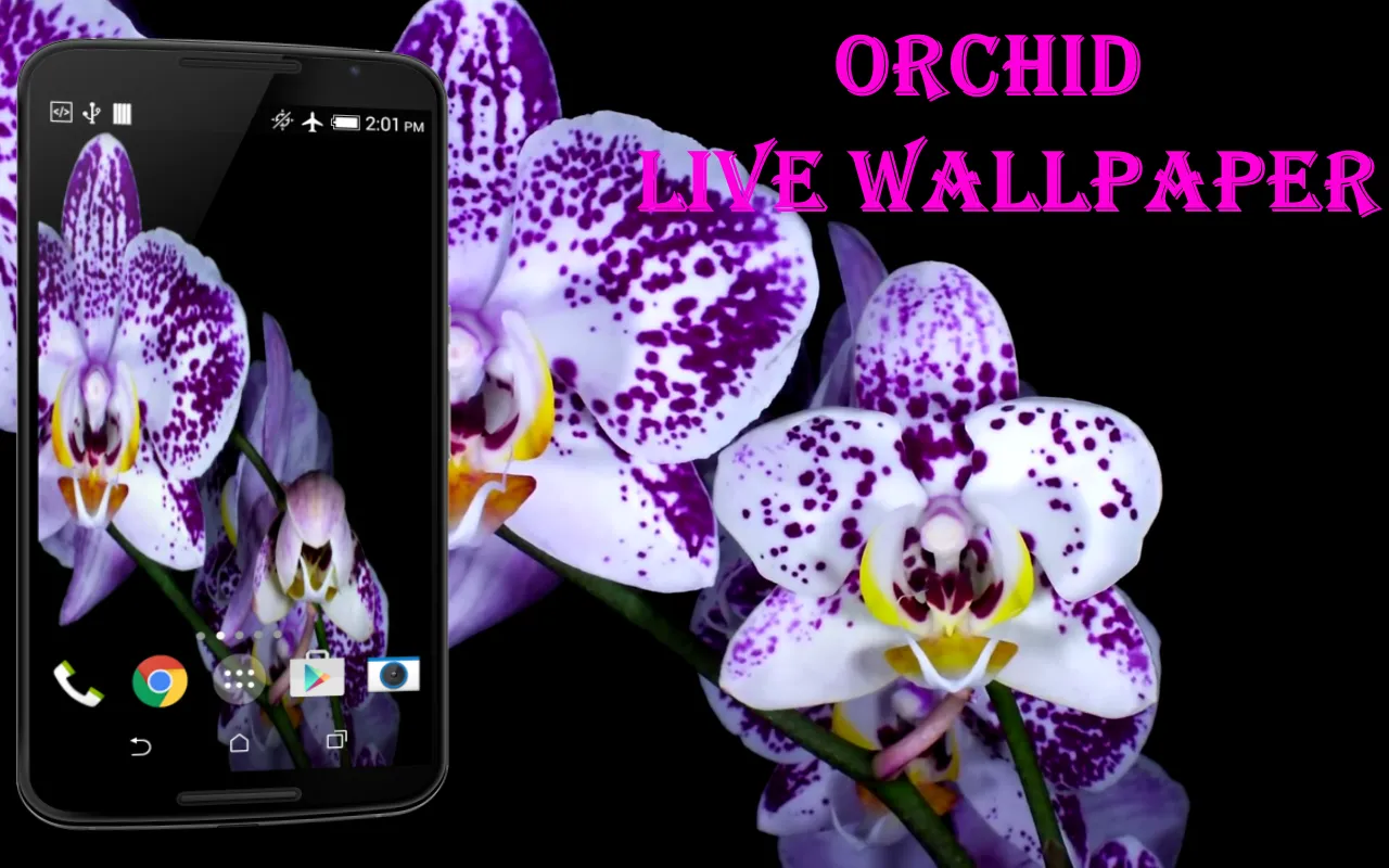 Orchid Video Live Wallpaper | Indus Appstore | Screenshot