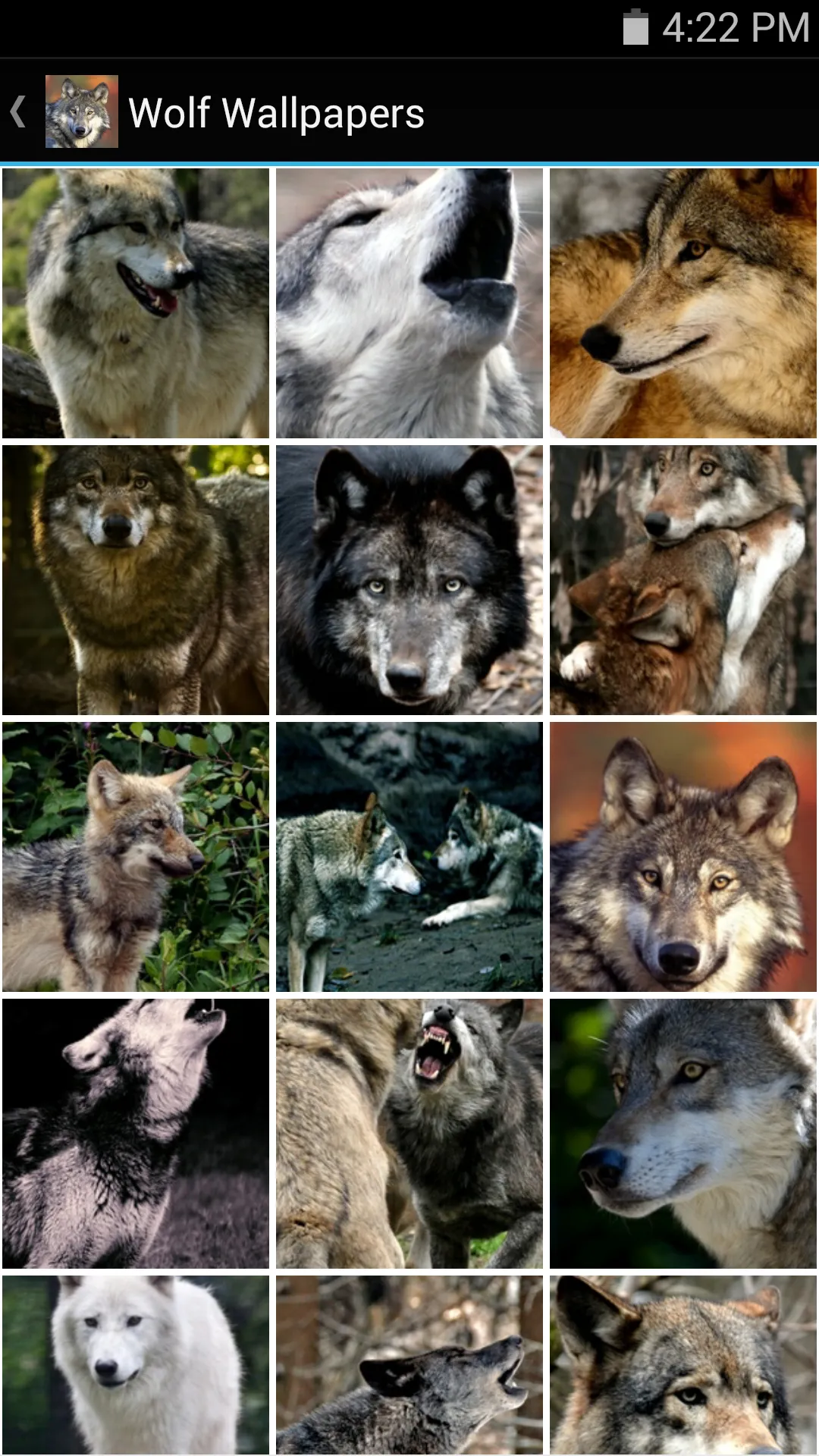 Wolf Wallpapers | Indus Appstore | Screenshot