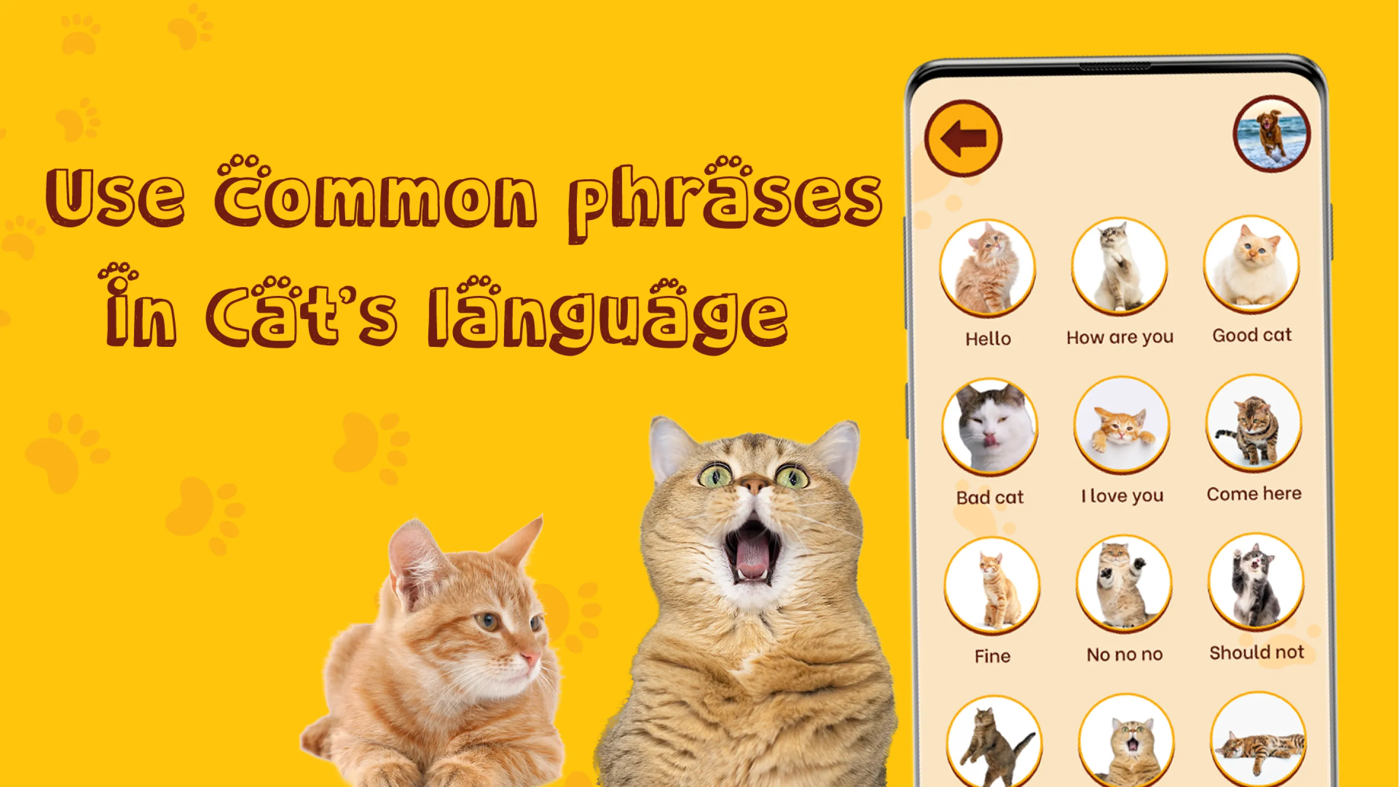 Translate for Animal: Cat, Dog | Indus Appstore | Screenshot