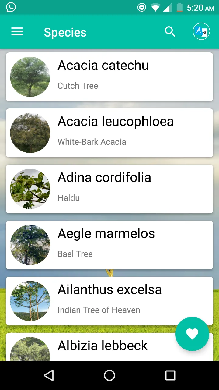 Forest Trees | Indus Appstore | Screenshot