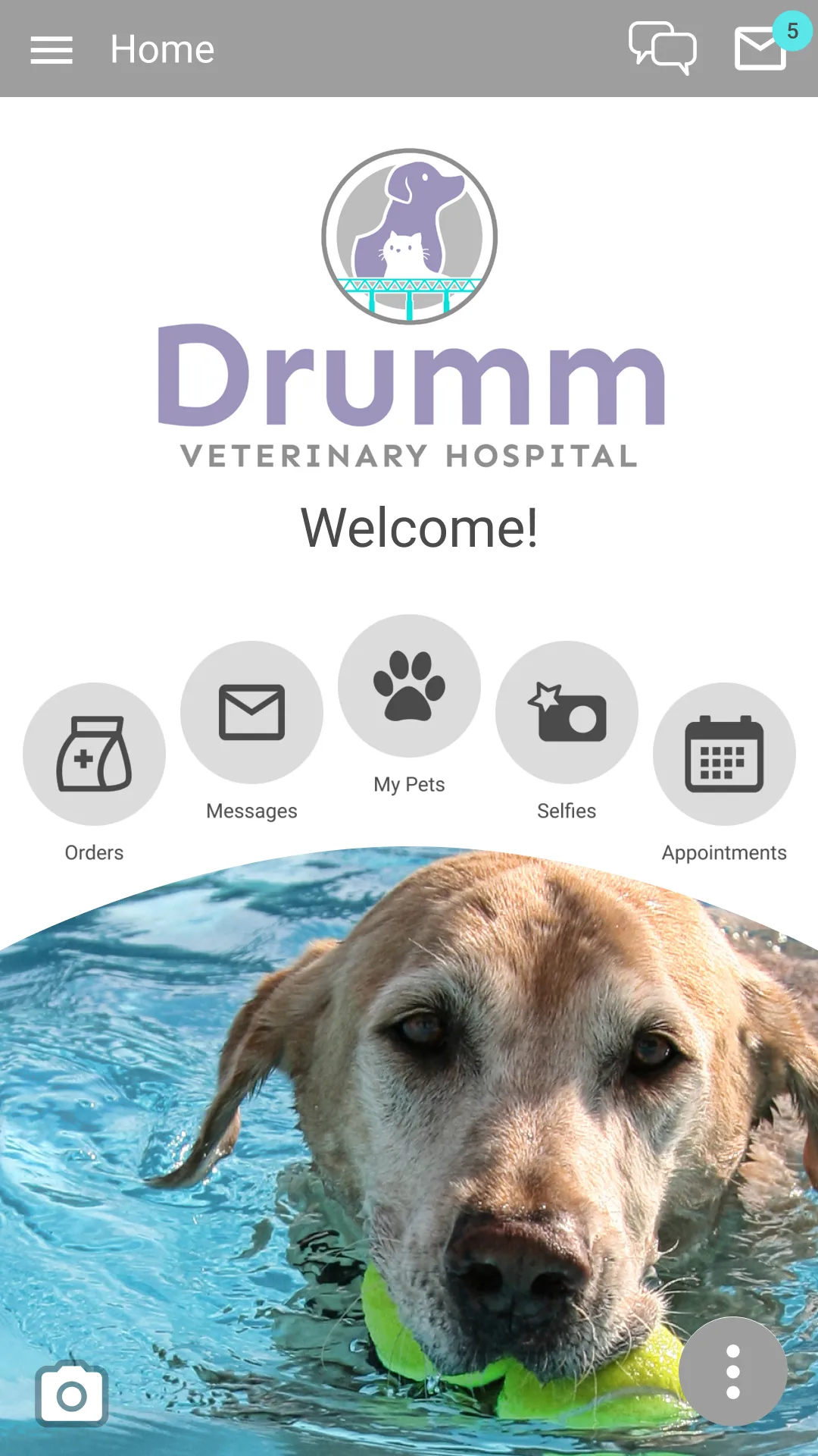 Drumm Vet Hospital | Indus Appstore | Screenshot