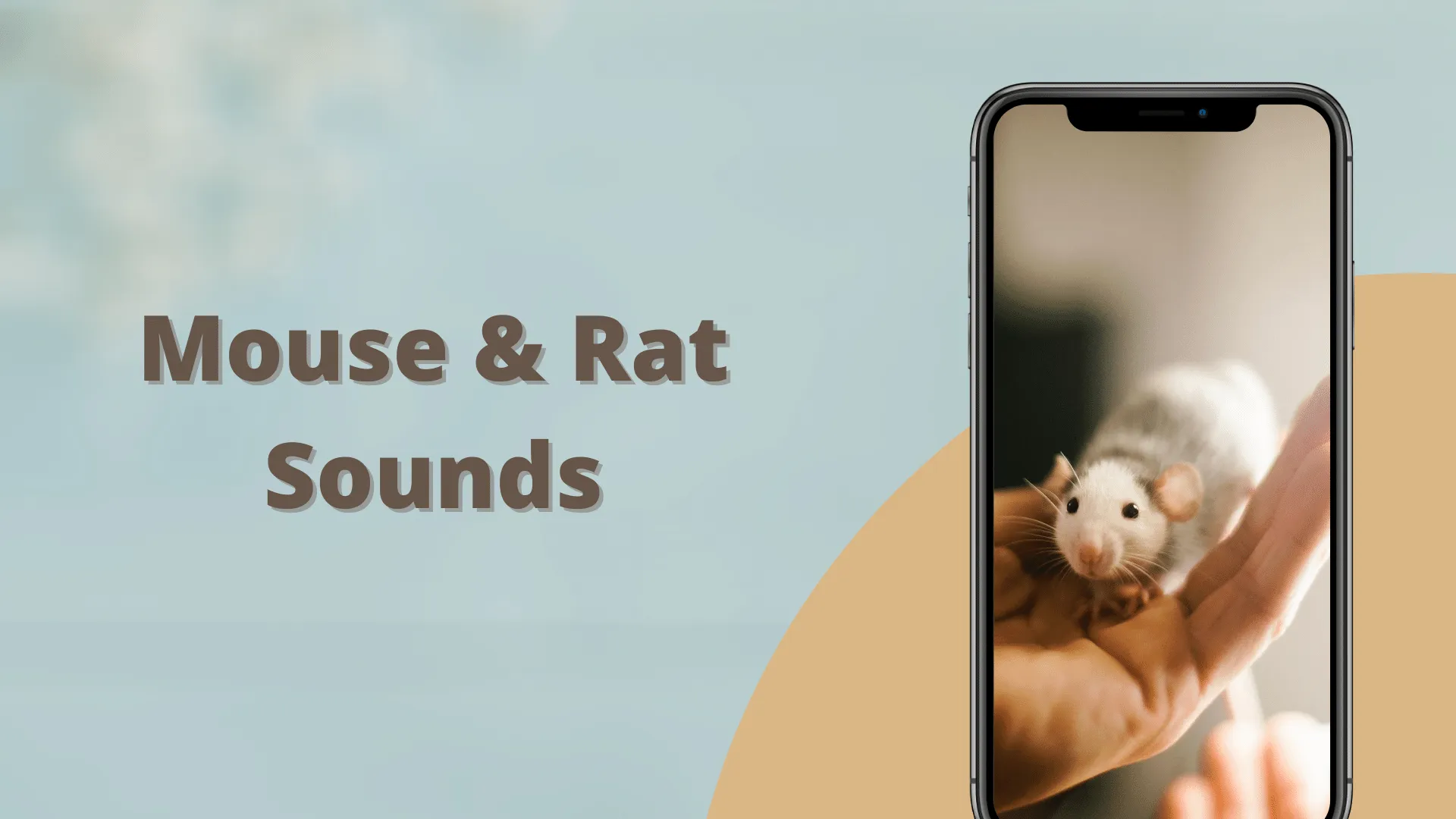 Mouse and Rat sounds | Indus Appstore | Screenshot