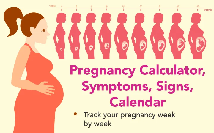 Pregnancy Calendar, Tracker | Indus Appstore | Screenshot