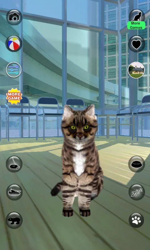 Talking Reality Cat | Indus Appstore | Screenshot