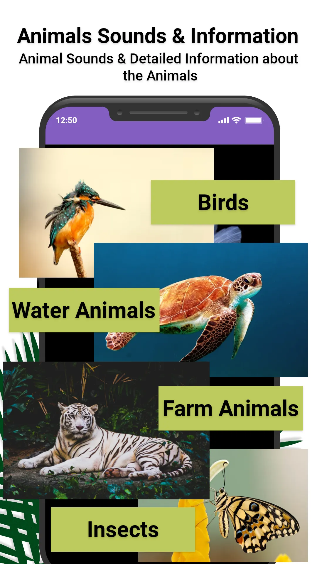 Animal Ringtones: Animal Sound | Indus Appstore | Screenshot