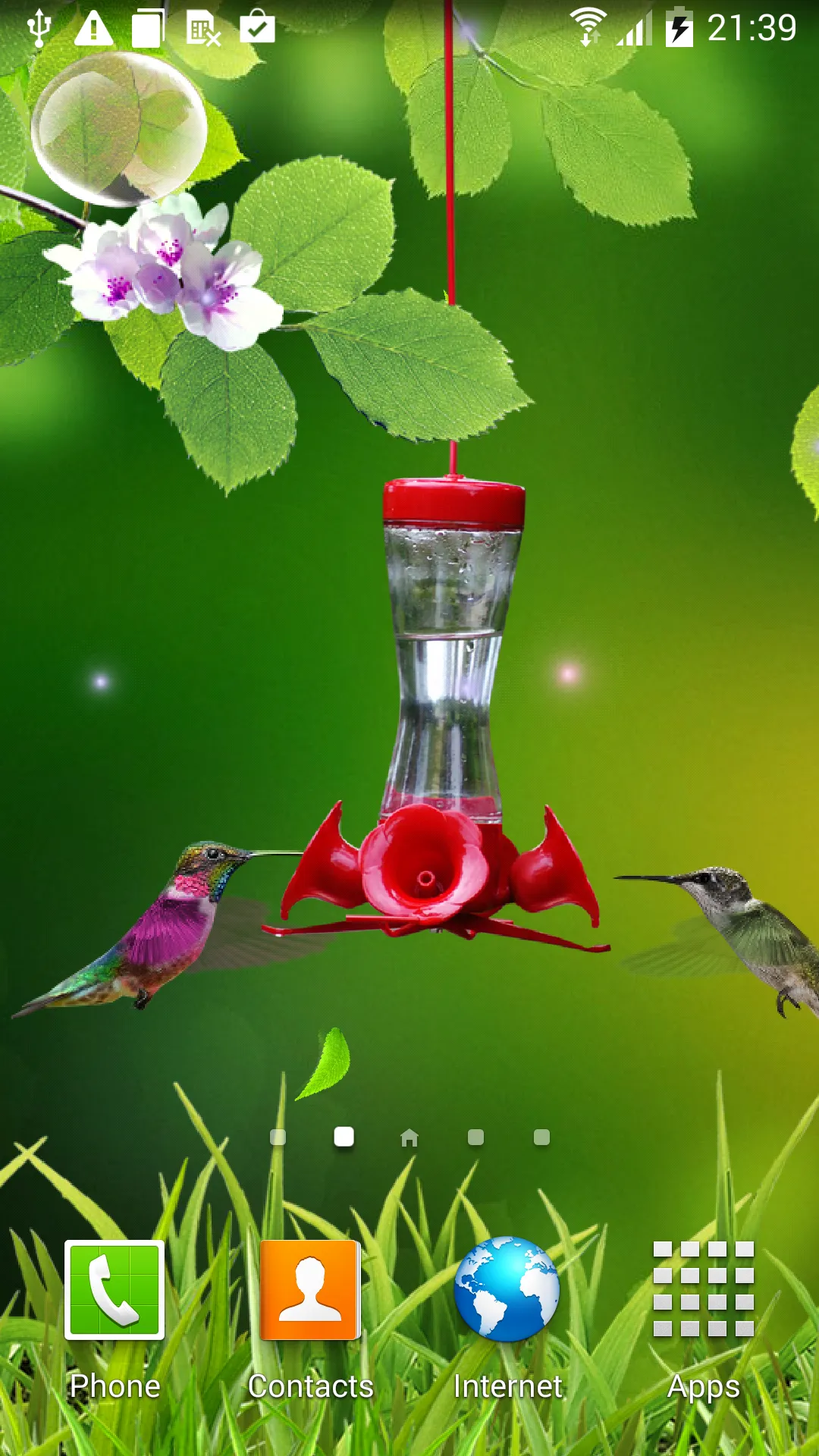 Hummingbirds wallpaper | Indus Appstore | Screenshot