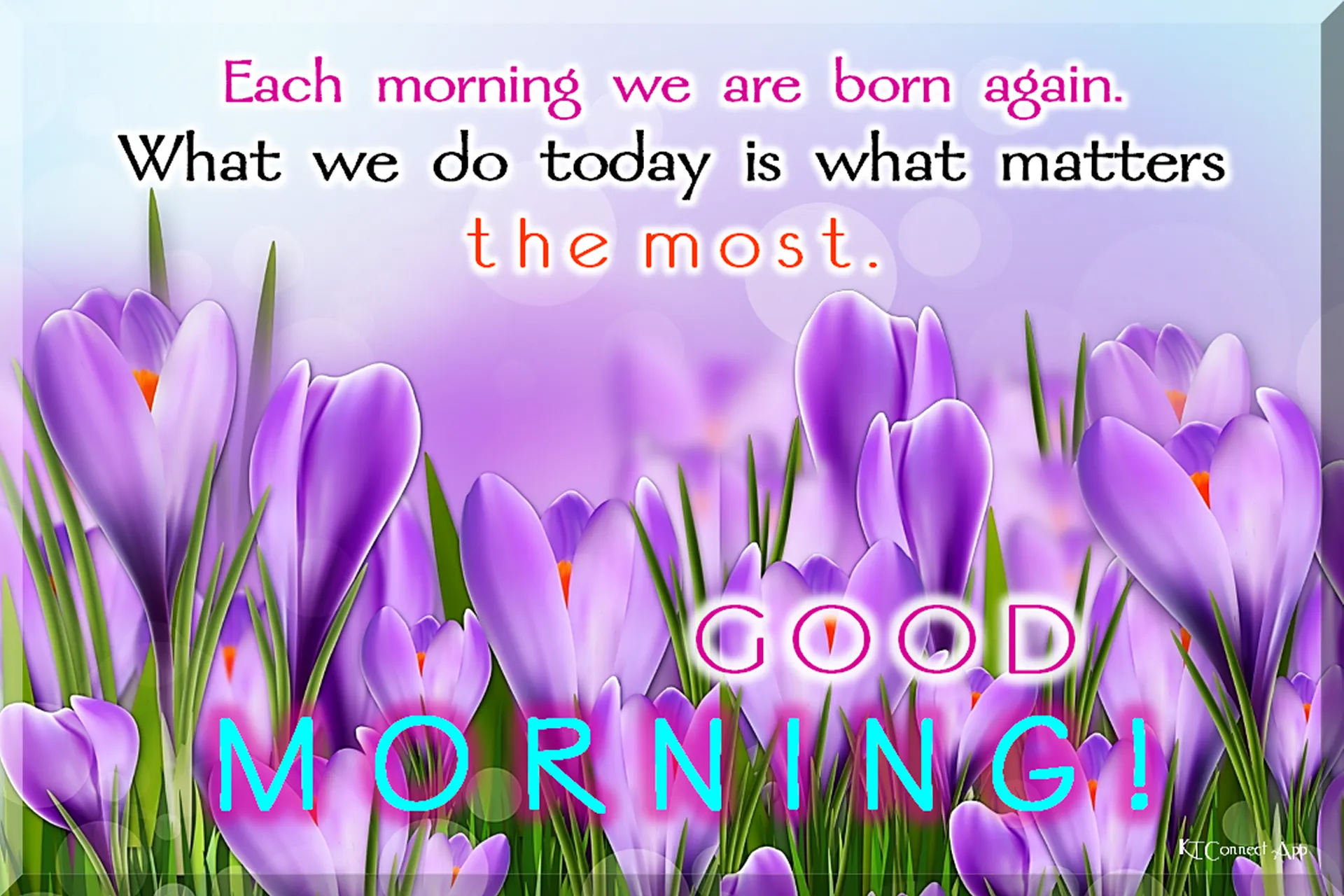 Good Morning Everyday | Indus Appstore | Screenshot