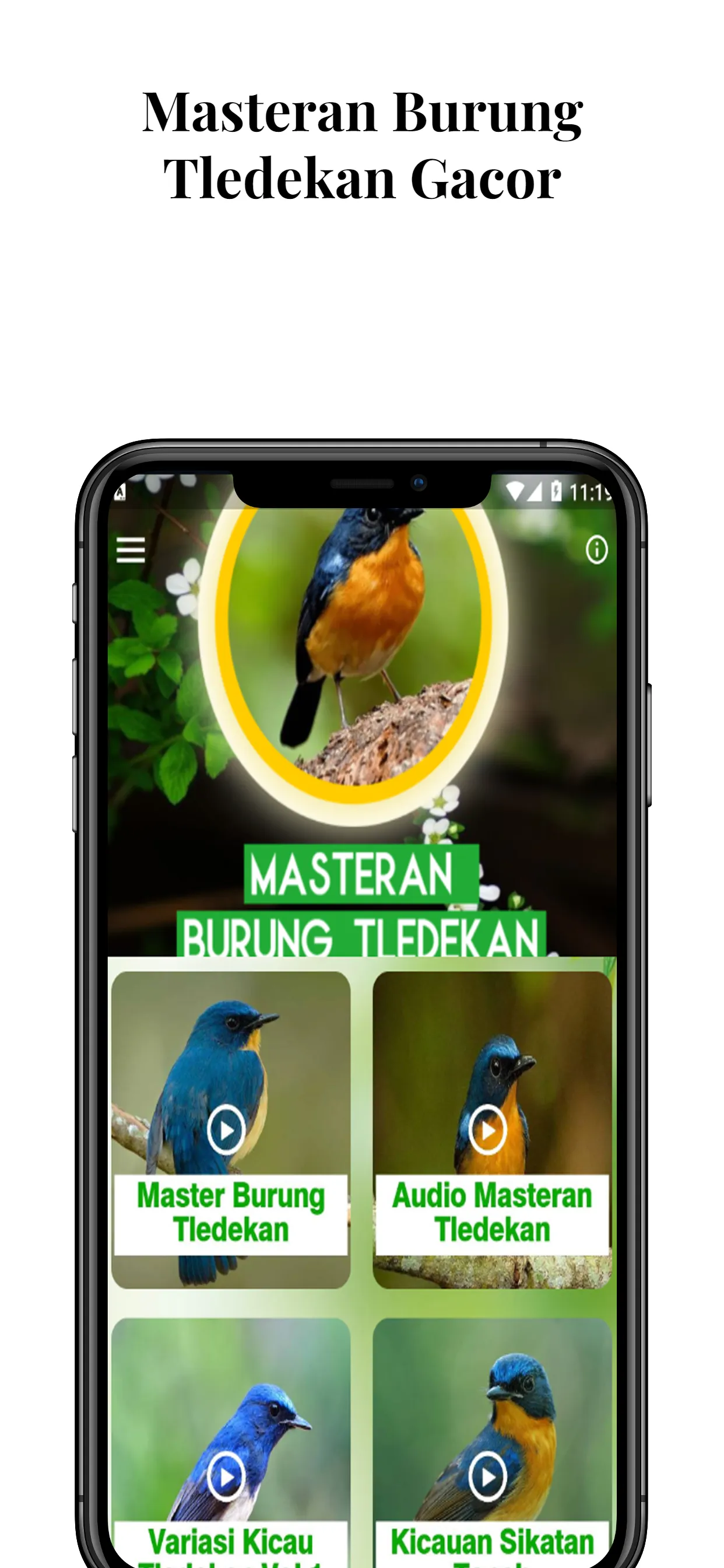 Masteran Burung Tledekan Gacor | Indus Appstore | Screenshot