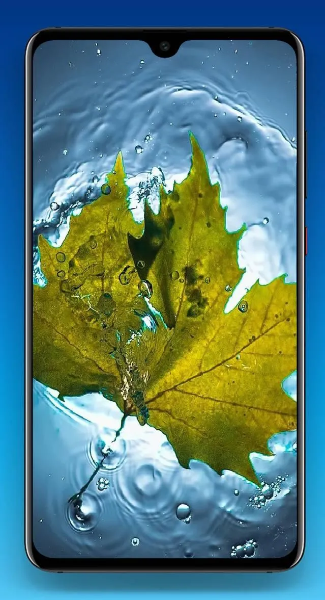 Leaf Wallpaper 4K | Indus Appstore | Screenshot