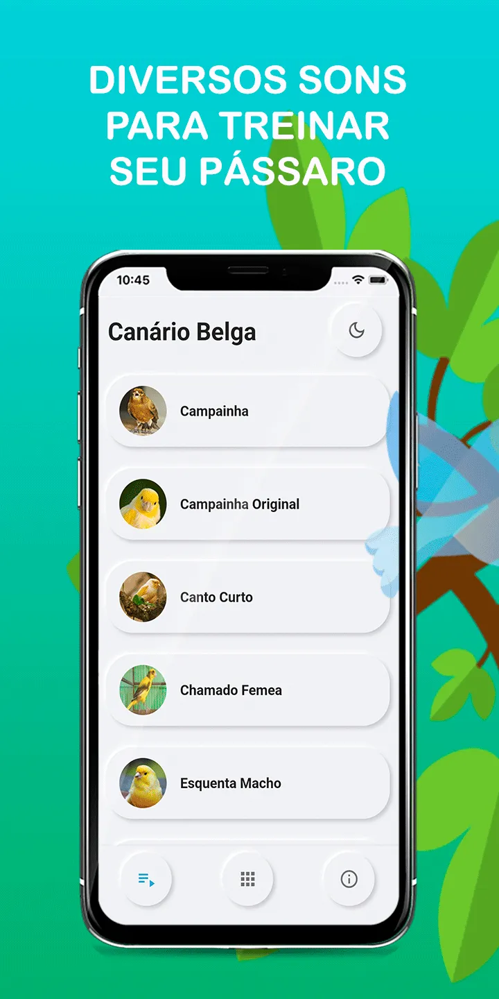 Canary Bird Belgian Corners | Indus Appstore | Screenshot