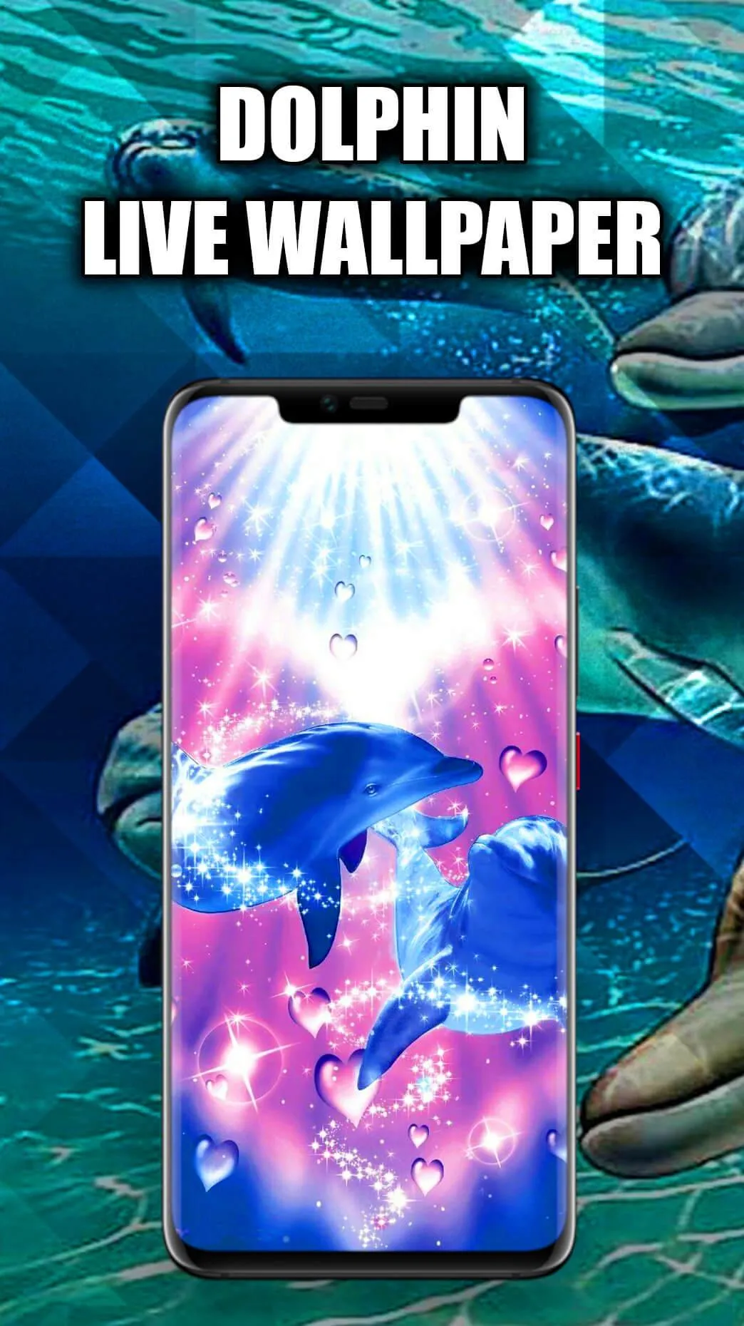 Dolphin Wallpaper Live HD/3D | Indus Appstore | Screenshot