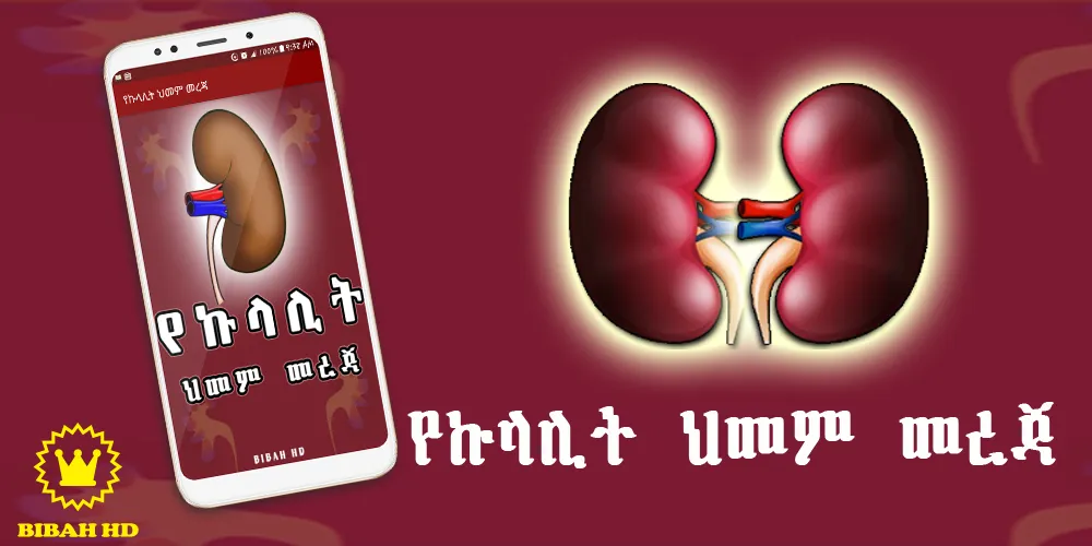 Amharic Kidney Disease | Indus Appstore | Screenshot